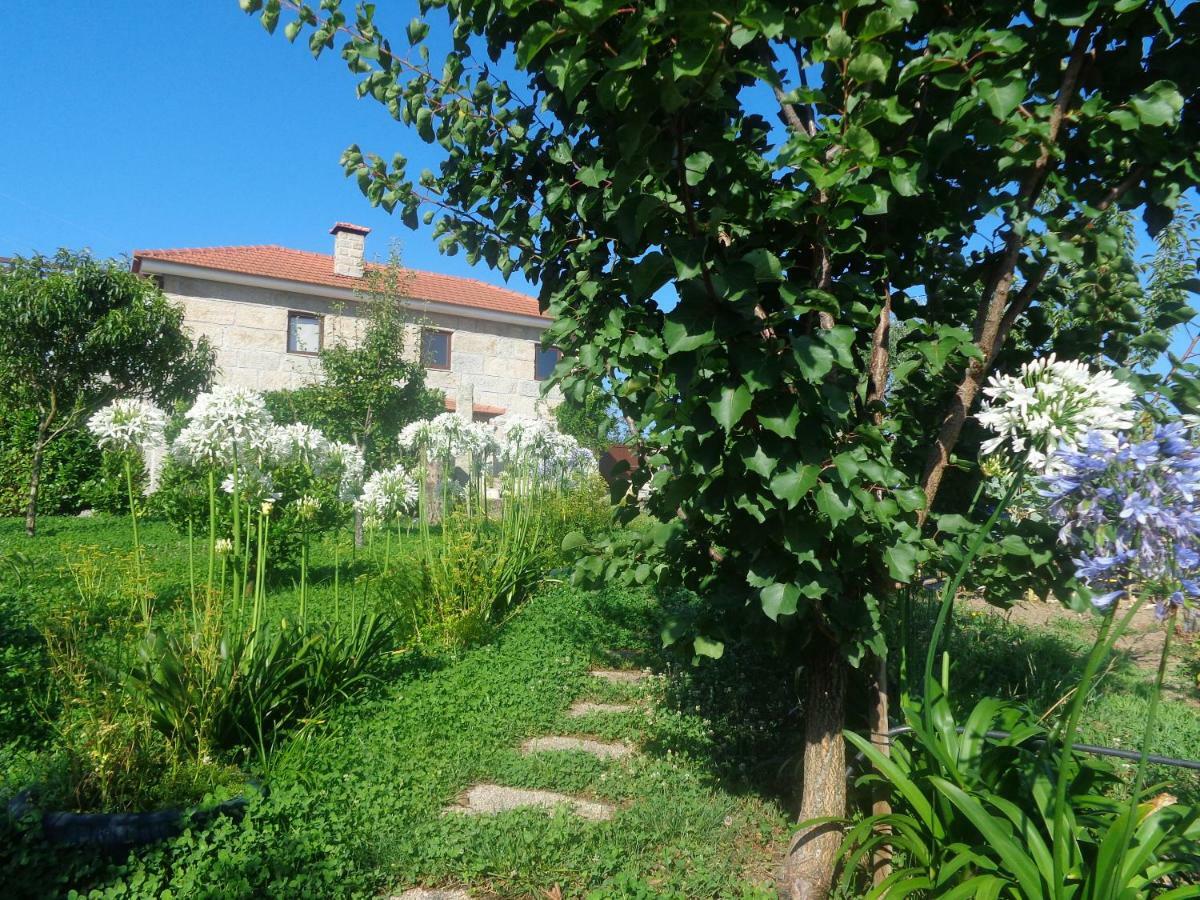 Pensjonat Bernardes House Castelo de Paiva Zewnętrze zdjęcie
