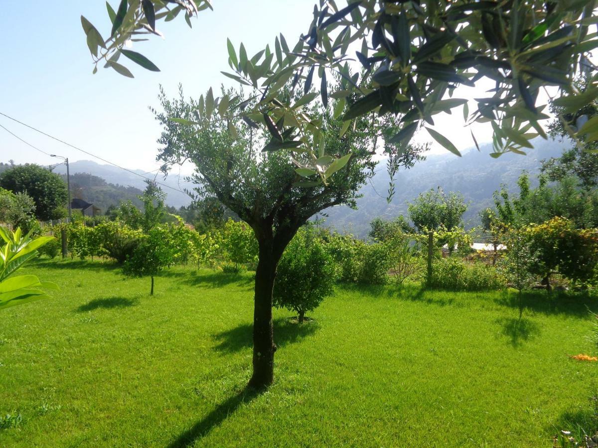 Pensjonat Bernardes House Castelo de Paiva Zewnętrze zdjęcie