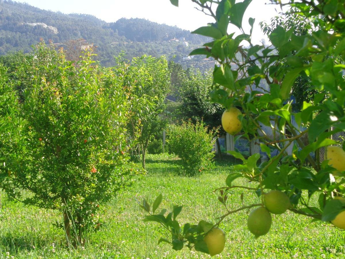 Pensjonat Bernardes House Castelo de Paiva Zewnętrze zdjęcie
