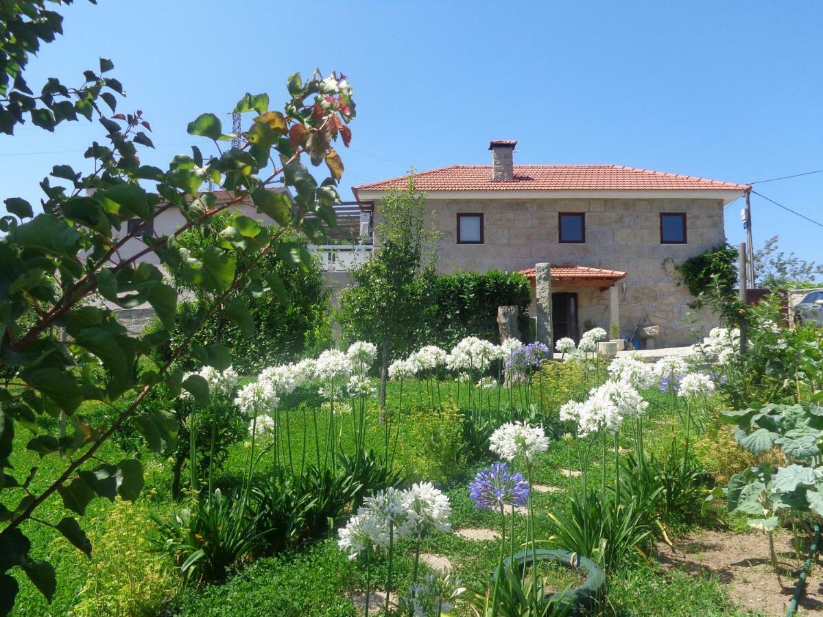Pensjonat Bernardes House Castelo de Paiva Zewnętrze zdjęcie